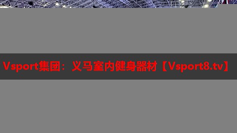 Vsport集团：义马室内健身器材