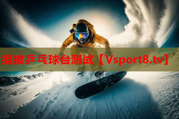 挺拔乒乓球台测试