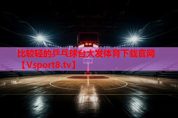 比较轻的乒乓球台大发体育下载官网