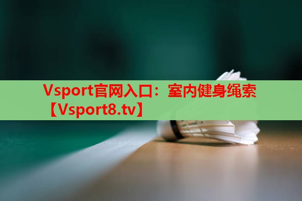 Vsport官网入口：室内健身绳索