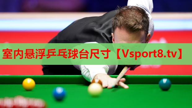 室内悬浮乒乓球台尺寸 室内悬浮乒乓球台尺寸