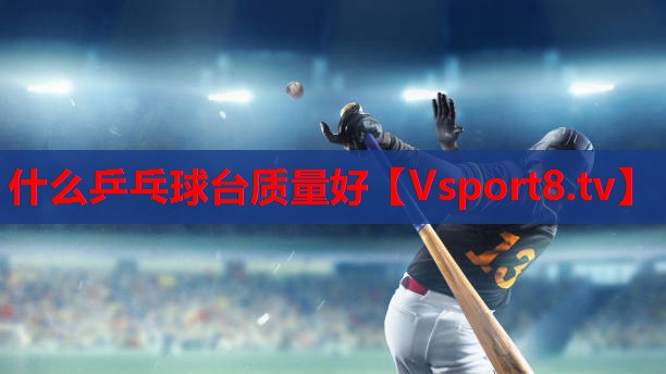 什么乒乓球台质量好