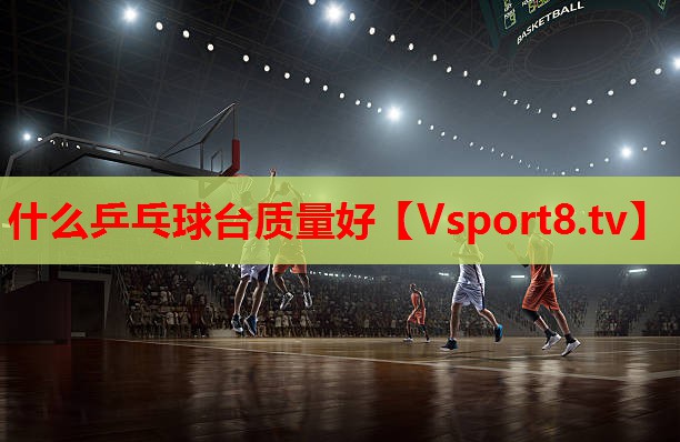 什么乒乓球台质量好